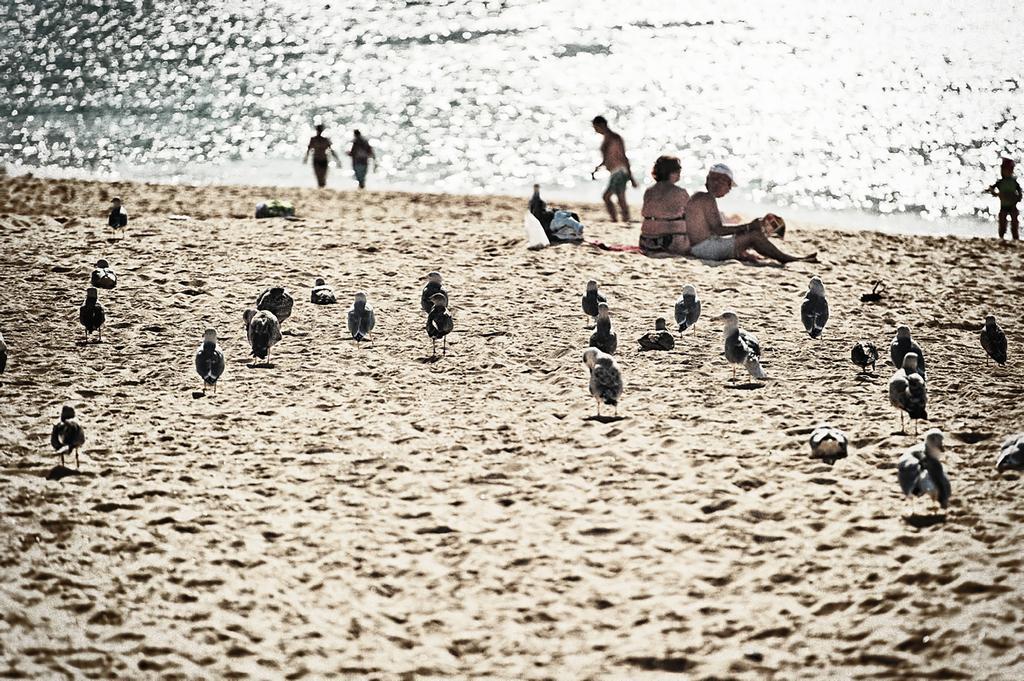 Rosamar Apartamentos Armação de Pêra Eksteriør bilde